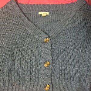 American Eagle Outfitters Women's Blue Cardigan